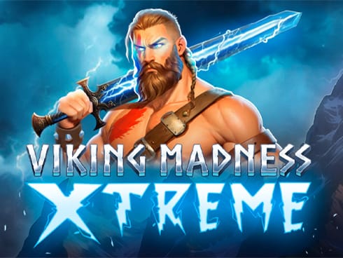 Viking Madness Xtreme screenshot